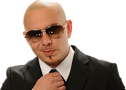 :pitbull