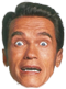 arnie_zpsc096c10b.png