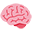 :brain