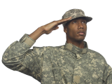 SALUTE :salute